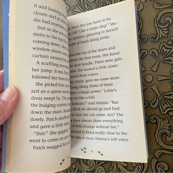 Scholastic The Rescue Princesses Book Set of 2 - Picture 7 of 8